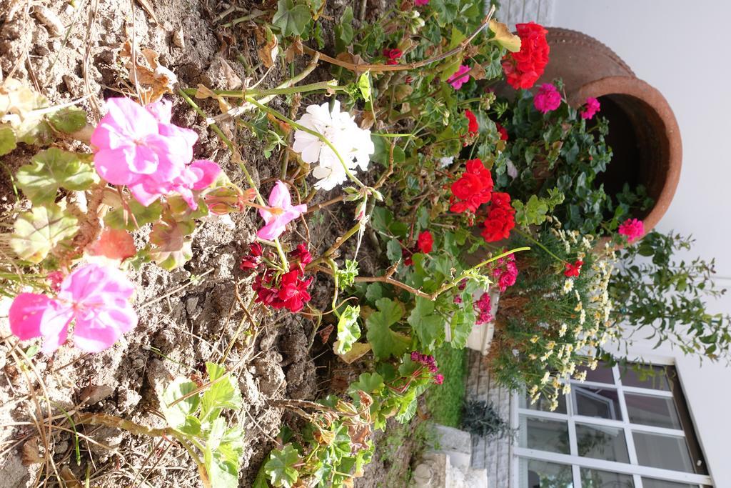 Limonlu Ev Ardic Hotell Alaçatı Exteriör bild